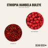 Thumbnail for Ethiopia Hambela Buleye - #2 (tastes)
