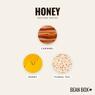 Thumbnail for Honey - #2 (tastes)