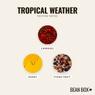 Thumbnail for Tropical Weather - #3 (tastes)