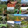 Thumbnail for Ethiopia Guji - #4 (origin)