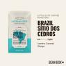 Thumbnail for Brazil Sítio Dos Cedros - #1 (tombstone)