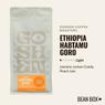 Thumbnail for Ethiopia Habtamu Goro - #1 (tombstone)