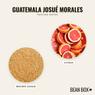 Thumbnail for Guatemala Josué Morales - #2 (tastes)