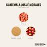 Thumbnail for Guatemala Josué Morales - #2 (tastes)