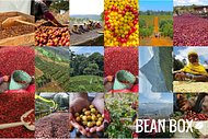 Thumbail for Mexico Chiapas - #2