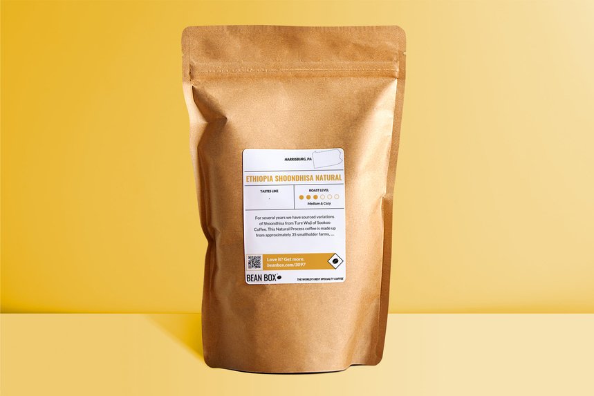 Ethiopia Shoondhisa Natural by Little Amps Coffee - image 0