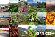 Thumbail for Decaf Espresso Paladino - #2