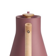 Stagg Pro Kettle