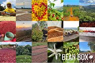 Thumbail for Dilworth Decaf Organic - #2