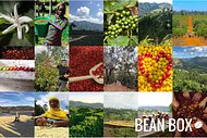Thumbail for Righteous Espresso Blend - Certified Fairtrade, Organic - #2